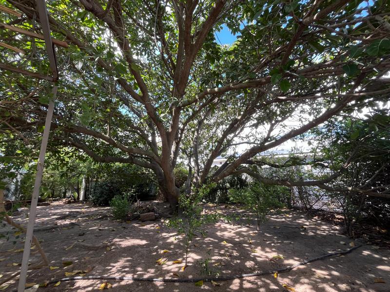8 Bedroom Property for Sale in Hopefield Western Cape